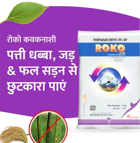 ✅ Biostadt Roko Fungicide Thiophanate Methyl 70% WP, Broad-Spectrum Systemic Fungicide.✅ Roko Fungicide Thiophanate-methyl 70 % WP is a broad-spectrum ...