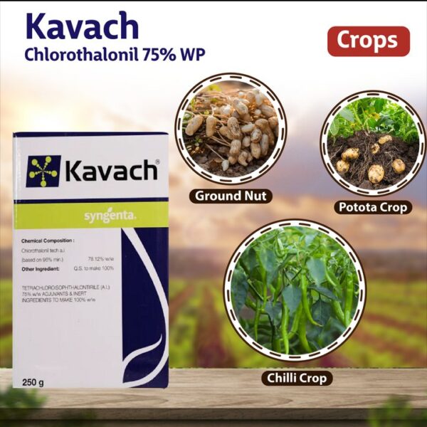 Syngenta Kavach Fungicide Chlorothalonil 75 WP