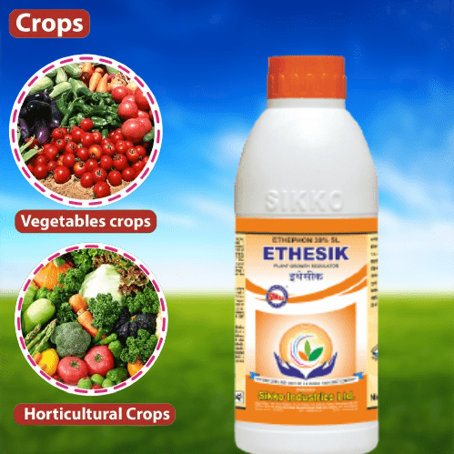 ETHESIK ETHEPHON 39% SL (PLANT GROWTH REGULATOR)