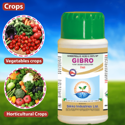 GIBBERELLIC ACID 0.186% SP (PLANT GROWTH PROMOTER)