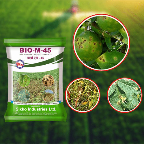 BIO-M-45 SIKKO