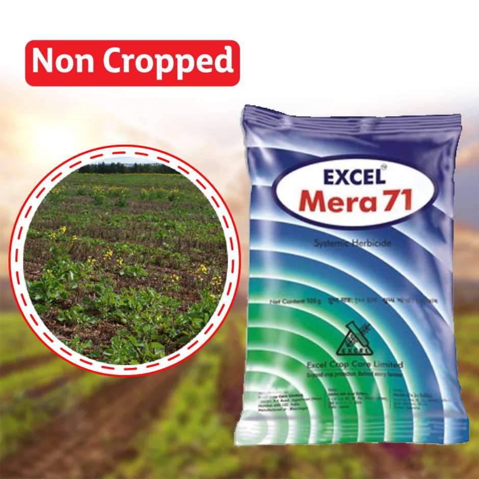 MERA 71 HERBICIDE Excel Crop Care 100gm