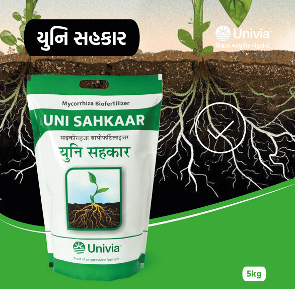 Uni Sahkaar Mycorrhiza Biofertilizer
